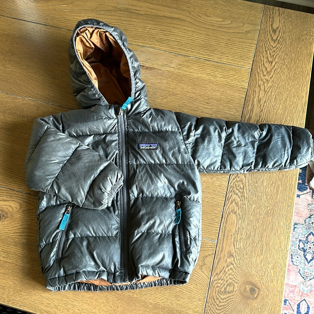 Patagonia puffer